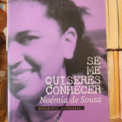 Capa de livro roxa com rosto desfocado e texto da biografia literária