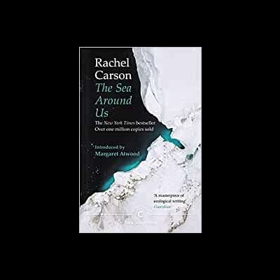 Capa de livro preto com texto em branco e verde sobre superfície branca texturada