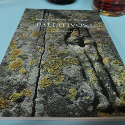 Capa de livro com textura de pedra, líquenes e escultura de figura humana alongada