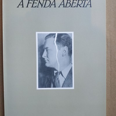 Capa de livro cinzenta com título e autor, e foto preto e branco dividida ao meio.