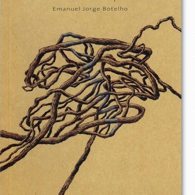 Capa de livro com ramos entrelaçados e texto em preto