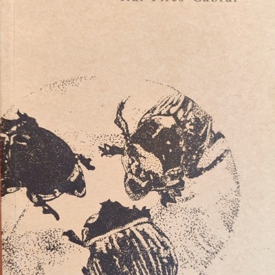 Livro Longe da Aldeia com ilustração de escaravelhos