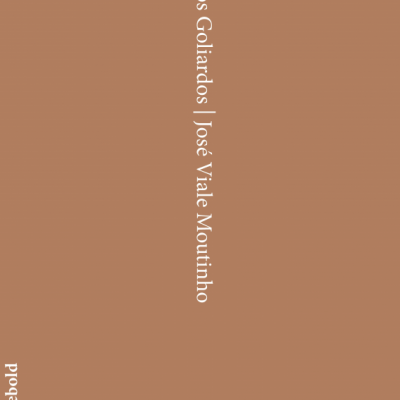 Capa de livro castanha com texto branco vertical