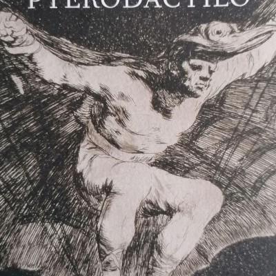 Capa do livro PTERODÁCTILO com ilustração de figura humana com asas em preto e branco