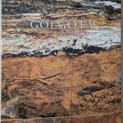 Capa de livro com textura de madeira envelhecida e texto impresso