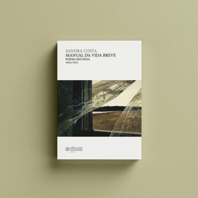 Capa de livro com título 'MANUAL DA VIDA BREVE' e imagem abstrata