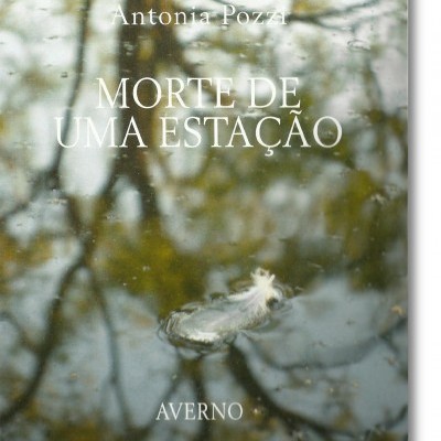 Capa do livro 'MORTE DE UMA ESTAÇÃO' com imagem de pena branca na água e reflexos de árvores