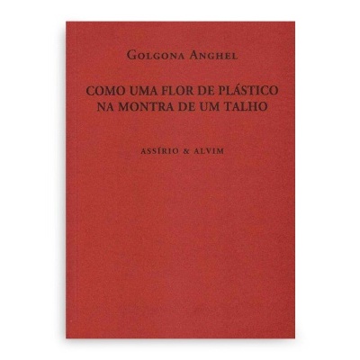 Capa vermelha clara de livro com texto a preto