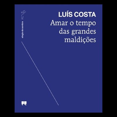 Capa de livro azul com título e autor em branco
