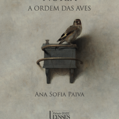 Capa do livro NÚRIA A ORDEM DAS AVES com imagem de pássaro e texto do autor Ana Sofia Paiva
