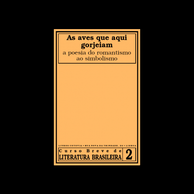 Capa de livro com título em português e design simples com fundo laranja