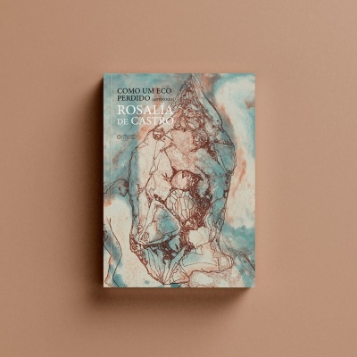 Capa de livro artística em tons azul, bege e castanho com texto em branco num fundo castanho liso