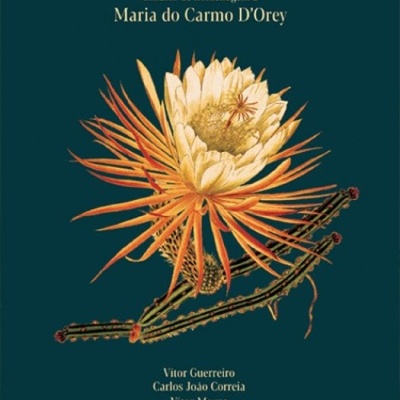Capa de livro com fundo verde, título QUANDO HÁ ARTE!, flor amarela e laranja no centro