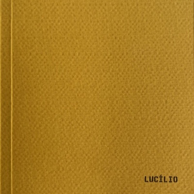 Capa de livro amarela com textura e texto preto