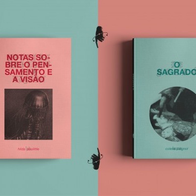 Dois livros coloridos com texto e imagens, sobre fundo azul e rosa com insetos pretos