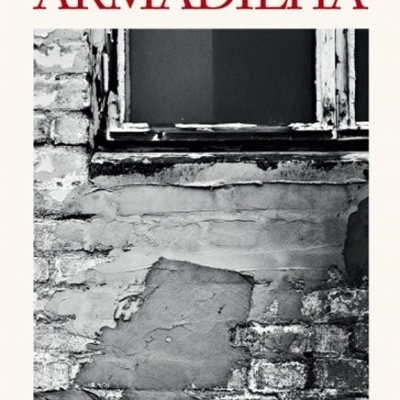 Capa de livro ARMADILHA com foto preto e branco de parede de tijolos e janela antiga