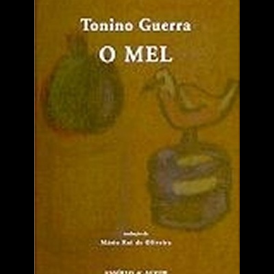 Capa de livro castanha com ilustrações e texto branco