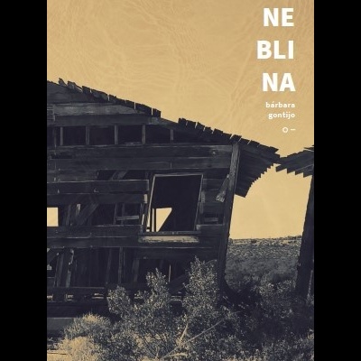 Livro com título NEBLINA e autor bárbara gontijo com imagem de cabanas de madeira antigas em ambiente natural.