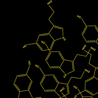 Capa de livro preta com título e estruturas químicas amarelas