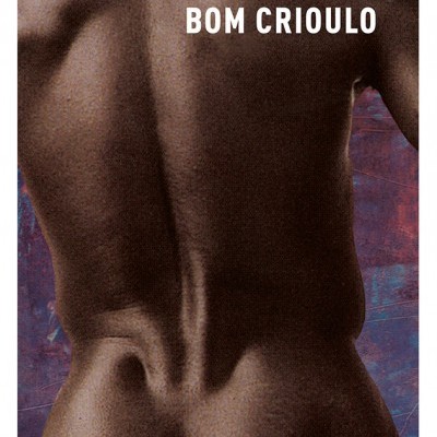 Capa de livro com costas nuas de homem e texto