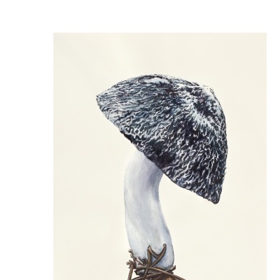 Ilustração de fungo em fundo claro