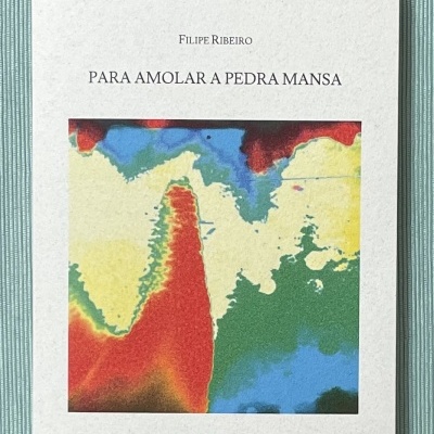 Livro 'PARA AMOLAR A PEDRA MANSA' com capa branca e imagem colorida abstrata