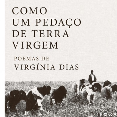 Capa de livro com pessoas colhendo trigo em preto e branco