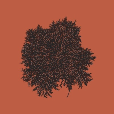 Capa de livro laranja com título SYMBIOSIS e ilustração preta