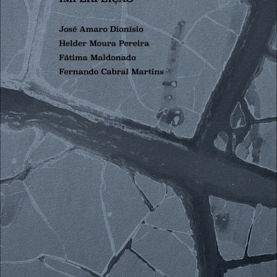 Capa de livro com textura de rachaduras em tons de cinzento e texto com título e autores.