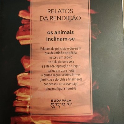 Capa de livro RELATOS DA RENDIÇÃO com texto em português sobre fundo vermelho e preto