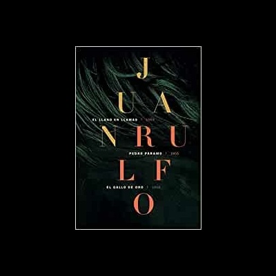 Capa de livro com texto dourado sobre fundo escuro abstrato