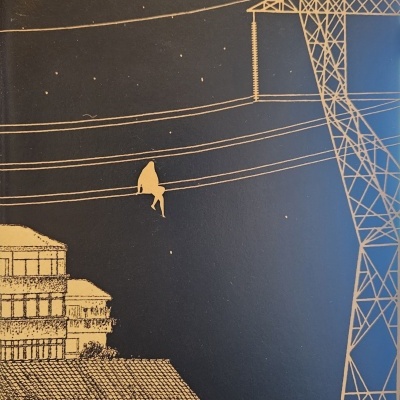 Capa de livro azul escura com ilustração beige de pessoa em cabo elétrico e texto 'Raquel Nobre Guerra Senhor Roubado'