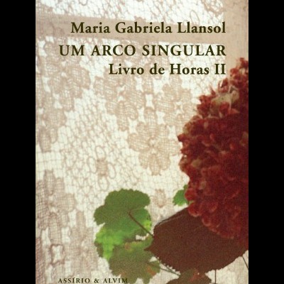 Capa do livro Um Arco Singular com fundo de renda e planta com flores vermelhas