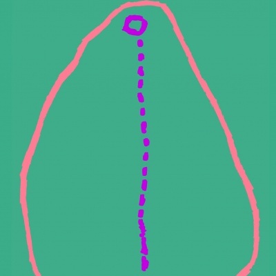 Capa de livro verde com texto e desenho cor-de-rosa e roxo