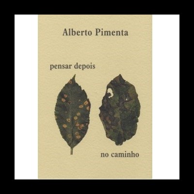 Livro 'pensar depois no caminho' de Alberto Pimenta com duas folhas secas na capa