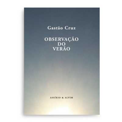 Capa de livro cinzento azul com título em branco