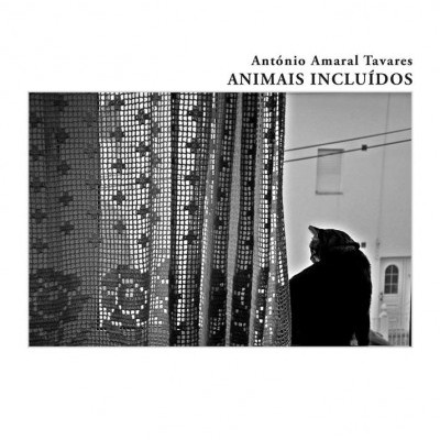 Capa de livro com cortina de renda e gato na janela em preto e branco