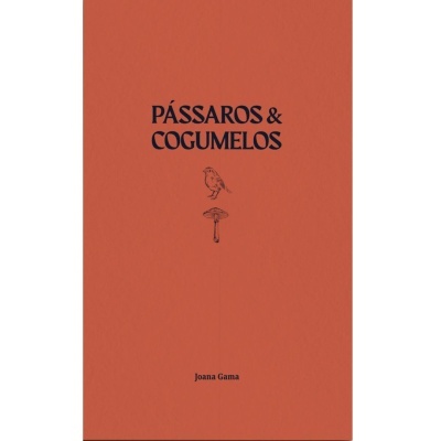 Capa de livro laranja com título PÁSSAROS & COGUMELOS e ilustração preta de pássaro e cogumelo