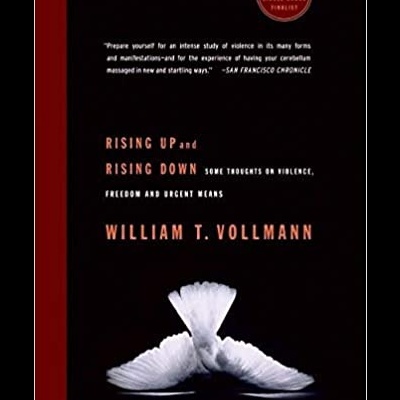 Livro com capa preta, texto laranja e branco, e penas brancas na parte inferior