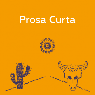 Capa de livro laranja com texto e ilustrações azuis escuras