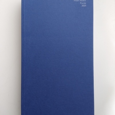 Livro azul com texto na capa sobre fundo branco