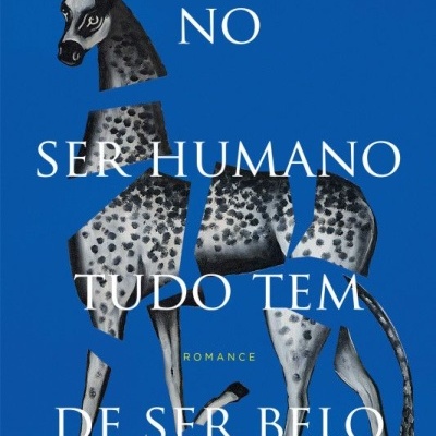 Capa de livro azul com girafa segmentada e texto em branco e amarelo