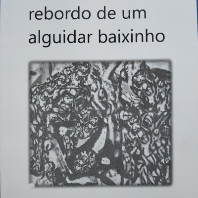 Capa de livro com texto e imagem abstrata em preto e branco.