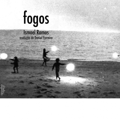 Capa de livro preta e branca com crianças na praia e texto do título e autor