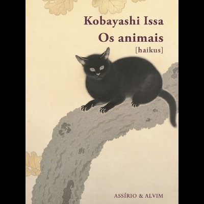 Capa de livro com gato preto sobre tronco de árvore e texto