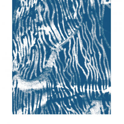 Imagem abstrata azul e branca com padrões lineares ondulados e texto