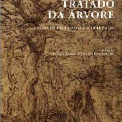 Capa de livro com ilustração de tronco de árvore e texto branco