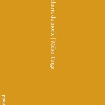 capa de livro laranja com texto branco vertical