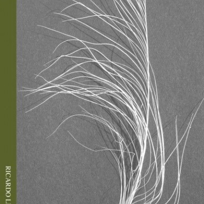 Capa de álbum musical com planta branca sobre fundo cinza e texto vertical verde oliva