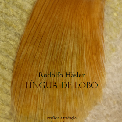 Capa de livro com pêlo castanho e branco e texto pretos